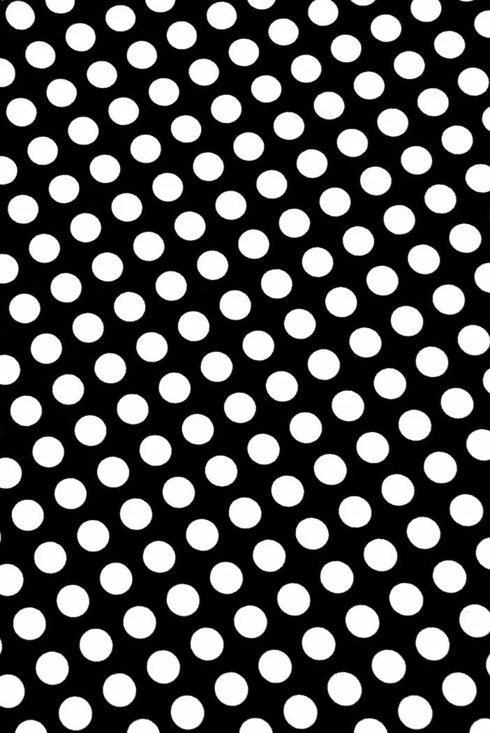 Black & White Polka Dot Skirt