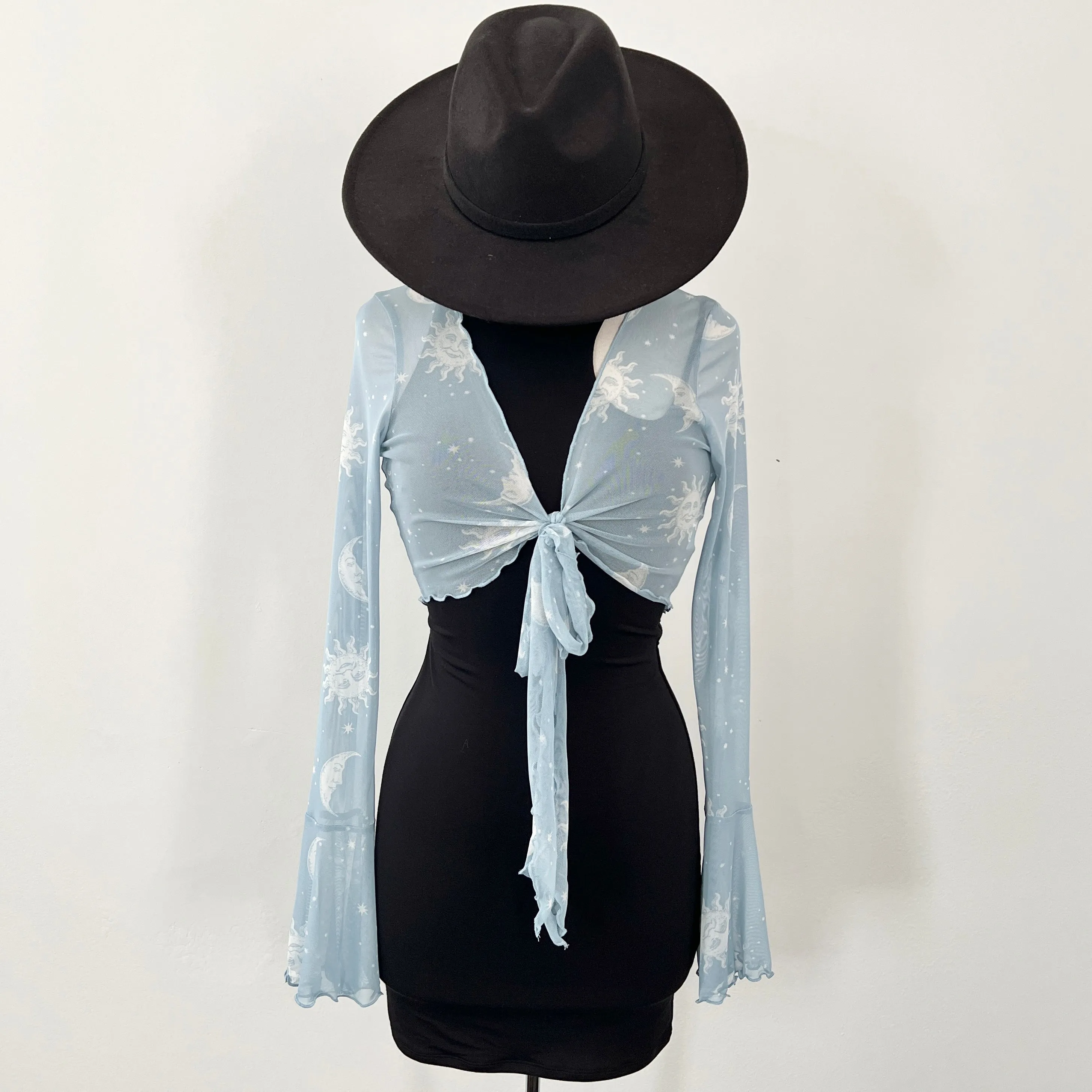 Sun & Moon Sheer Tie Front Top - Baby Blue