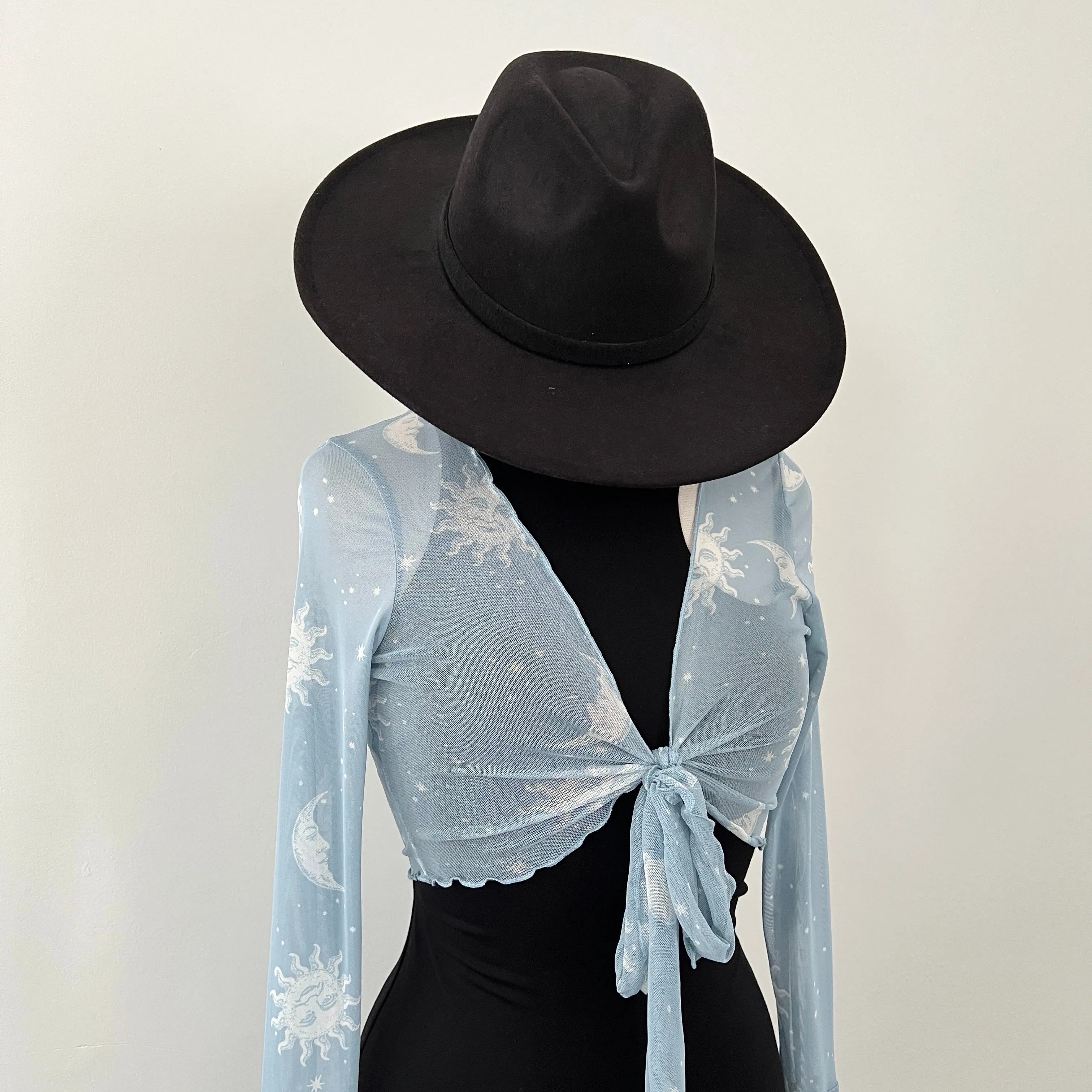 Sun & Moon Sheer Tie Front Top - Baby Blue